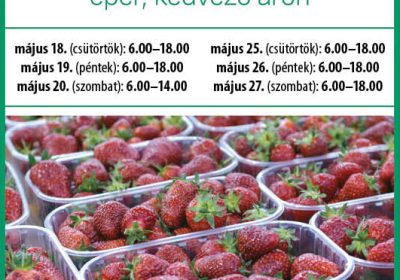 Epervásár az Új Teleki téri Piacon