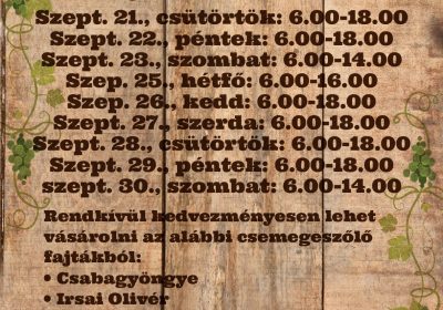 Szőlővásár az Új Teleki téri Piacon