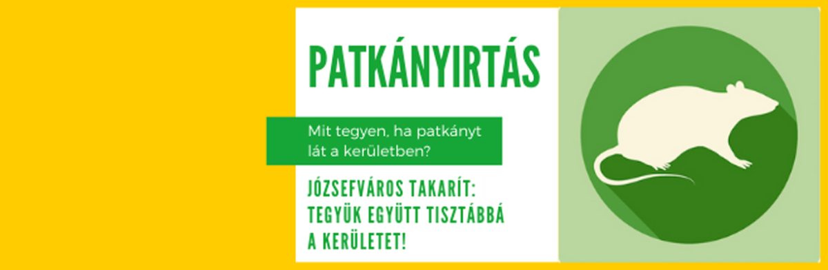 Mit tegyen, ha patkányt lát a kerületben?