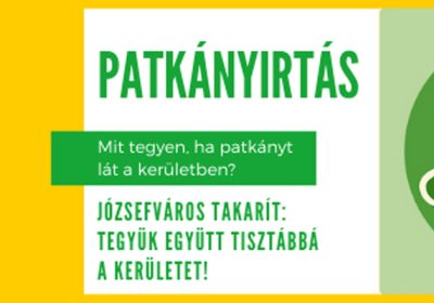 Mit tegyen, ha patkányt lát a kerületben?