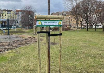 Új fák, a Zöld Józsefvárosért