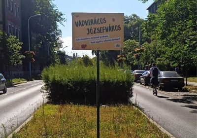 Új táblák a kerületben, „Vadvirágos Józsefváros”