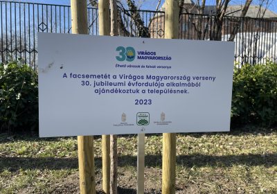Emlékfa a Bláthy Parkban