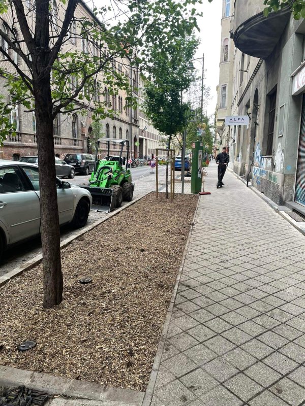 Zöldfelületek rekonstrukciója a Somogyi Béla utcában