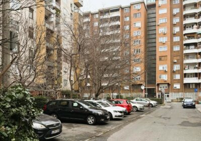 Lakossági tájékoztatás – Faápolási munkálatok miatti forgalmi változások!