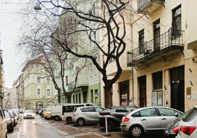 Lakossági tájékoztatás – Ismételt faápolási munkálatok a Kisfaludy utcában