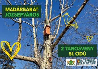 Madárbarát Józsefváros – odútisztítás és karbantartás