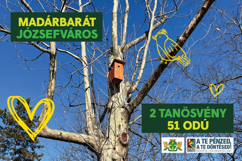 Madárbarát Józsefváros – odútisztítás és karbantartás