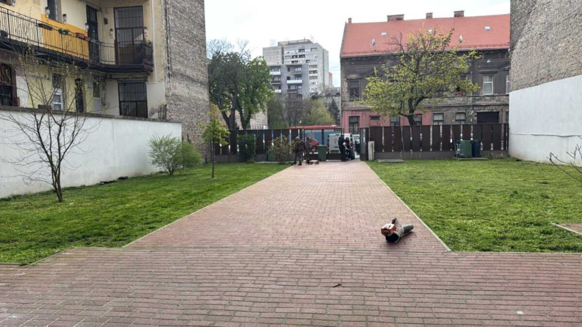 Kertészeti karbantartás az önkormányzati tulajdonú házaknál – Tisztább és rendezettebb zöldfelületek Józsefvárosban