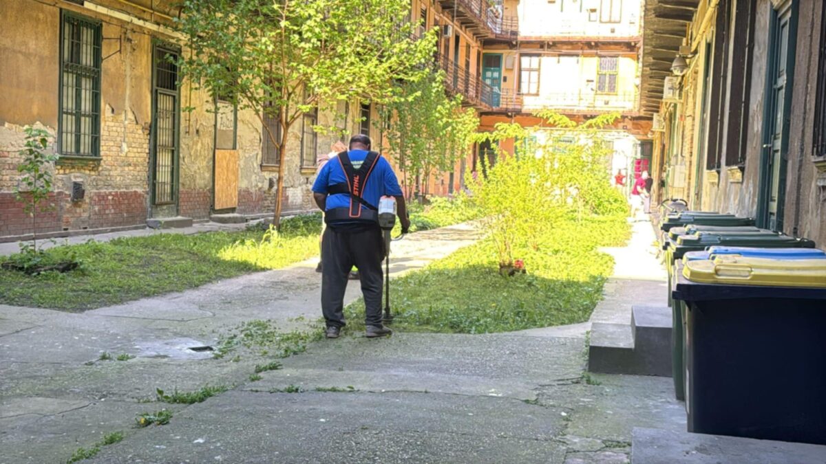 Tavaszi kertészeti nagytakarítás Józsefvárosban – virágültetés, gyommentesítés, kaszálás több helyszínen