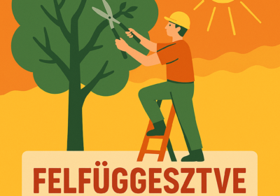 Az extrém meleg miatt felfüggesztjük a Nagy Fuvaros utcai faápolási munkálatokat