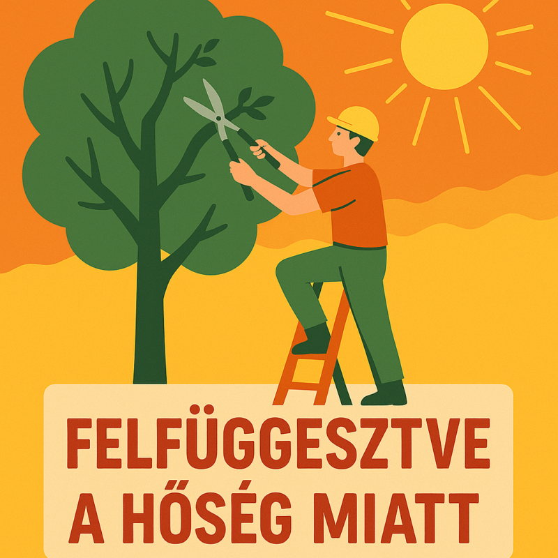Az extrém meleg miatt felfüggesztjük a Nagy Fuvaros utcai faápolási munkálatokat