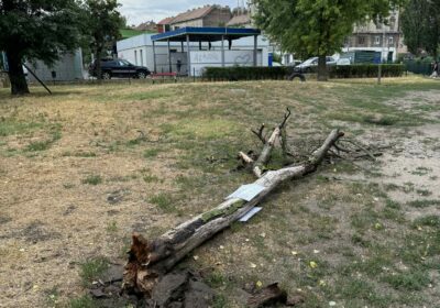 Viharkárok Józsefvárosban – kidőlt fa és leszakadt ágak, de senki nem sérült meg