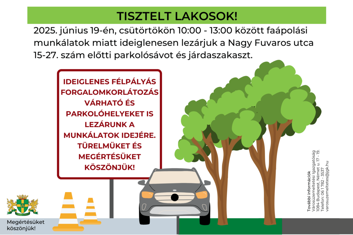 Zöldebb és világosabb Józsefváros – Folytatódik a faápolás a Nagy Fuvaros utcában