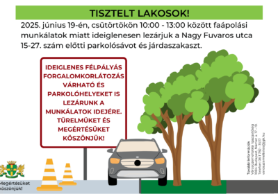 Zöldebb és világosabb Józsefváros – Folytatódik a faápolás a Nagy Fuvaros utcában
