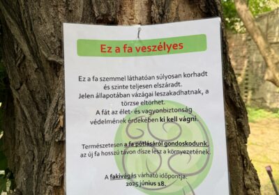 Fakivágás és fametszés a Tömő utcában – ideiglenes parkolási korlátozás