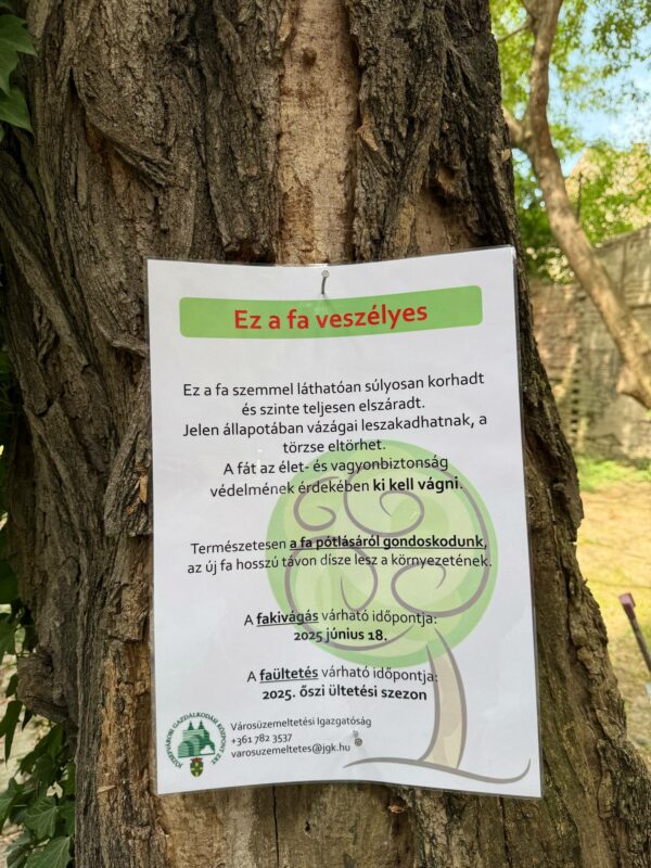 Fakivágás és fametszés a Tömő utcában – ideiglenes parkolási korlátozás