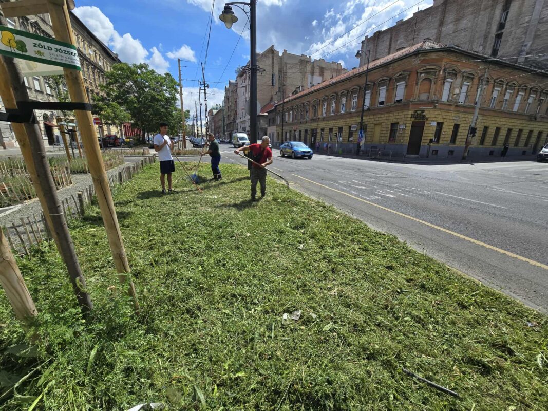Zöldfelületeink gondozása – a kerület élhetőségéért és szépségéért 🌿