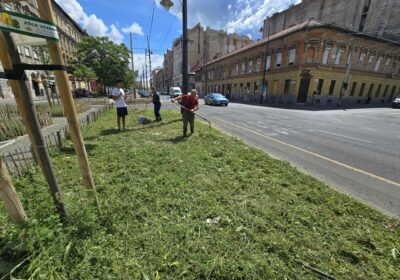 Zöldfelületeink gondozása – a kerület élhetőségéért és szépségéért 🌿
