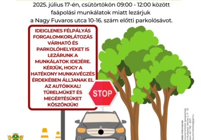 Enyhébb időjárás - folytatódnak a faápolási munkálatok a Nagy Fuvaros utcában