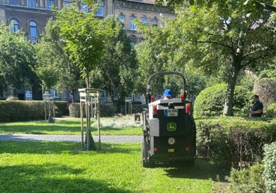 Tiszta, zöld és ápolt közterek – heti jelentés a kertészeti munkákról 🌳