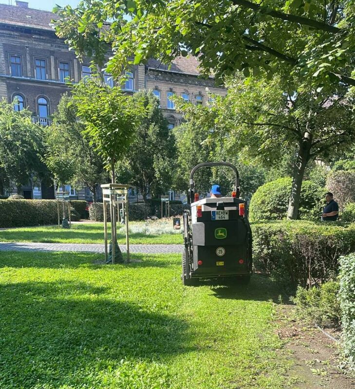 Tiszta, zöld és ápolt közterek – heti jelentés a kertészeti munkákról 🌳