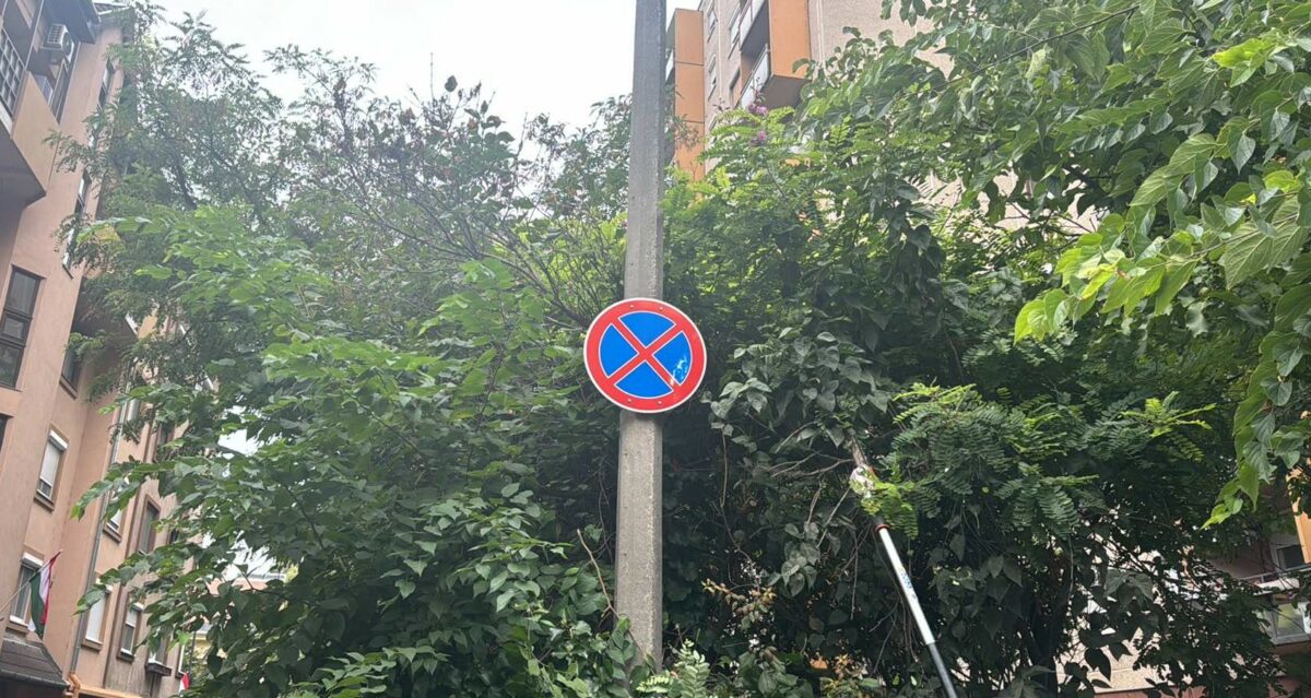 Heti beszámoló az elvégzett kertészeti feladatokról