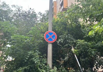 Heti beszámoló az elvégzett kertészeti feladatokról