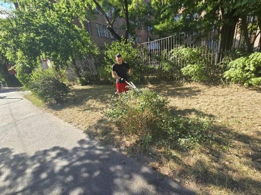 Gondozott zöldfelületek, élhetőbb kerület – heti kertészeti jelentés