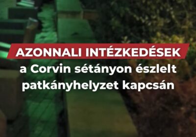 Azonnali lépések a Corvin sétányon történt patkány helyzet miatt