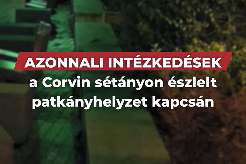 Azonnali lépések a Corvin sétányon történt patkány helyzet miatt