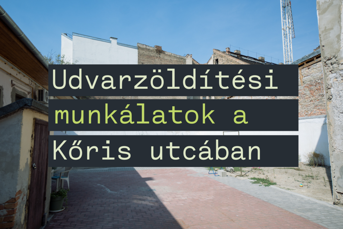 Udvarzöldítési munkálatok indulnak a Kőris utcában
