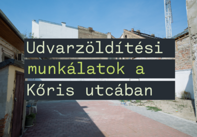 Udvarzöldítési munkálatok indulnak a Kőris utcában