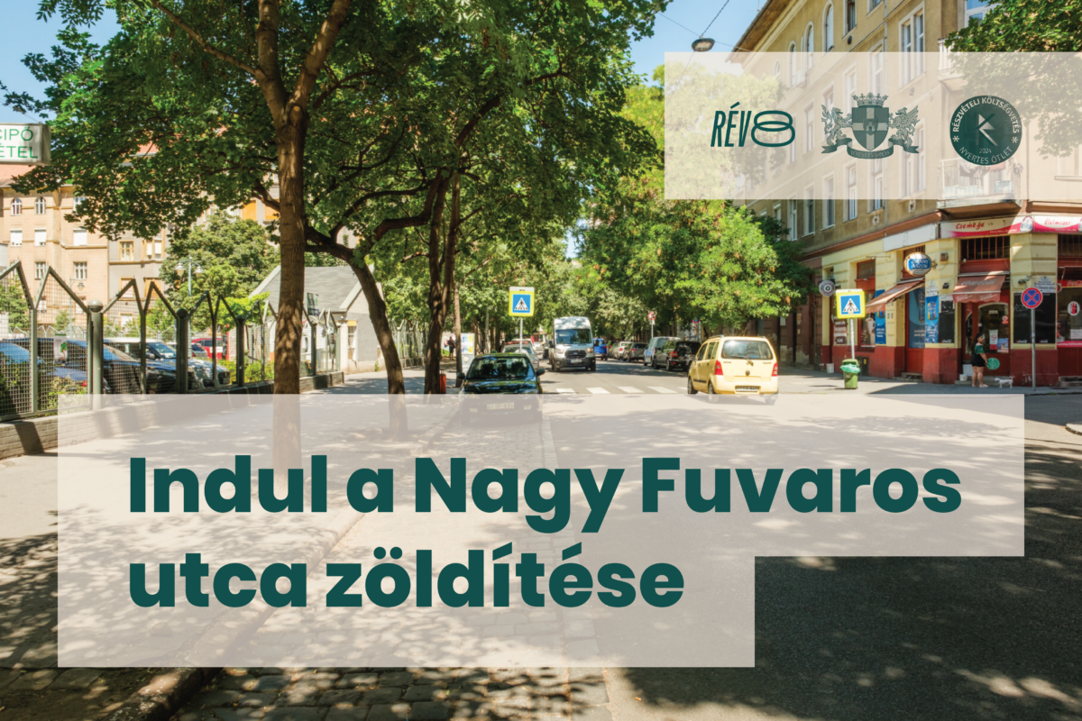 Aszfaltbontási munkálatok és zöldítés a Szent Kozma Egészségügyi Központ előtt
