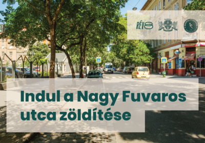 Aszfaltbontási munkálatok és zöldítés a Szent Kozma Egészségügyi Központ előtt