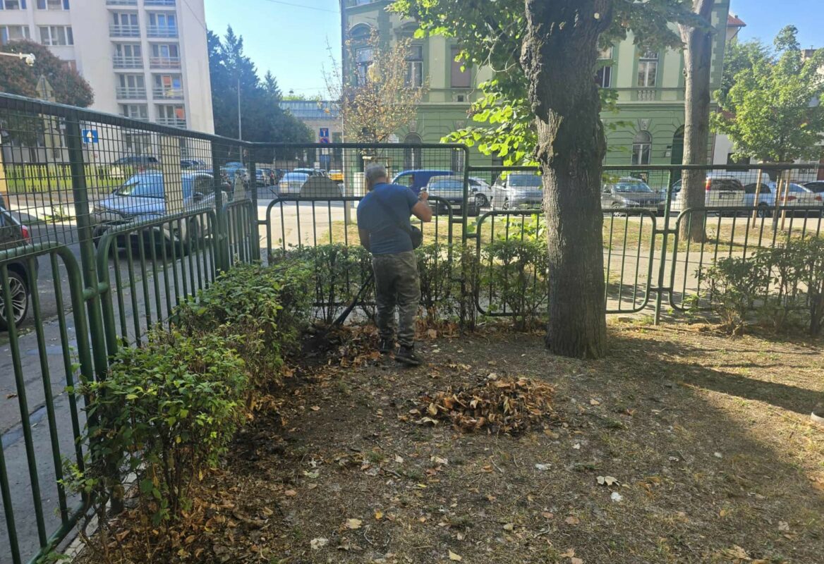 Heti zöld hírek: fűnyírás, faápolás és öntözés a kerületben