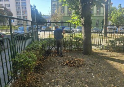 Heti zöld hírek: fűnyírás, faápolás és öntözés a kerületben